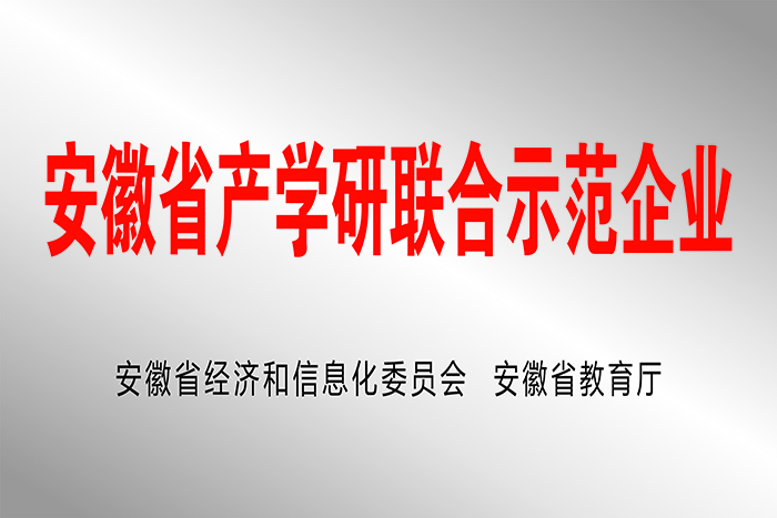 安徽省产学研联合示范企业