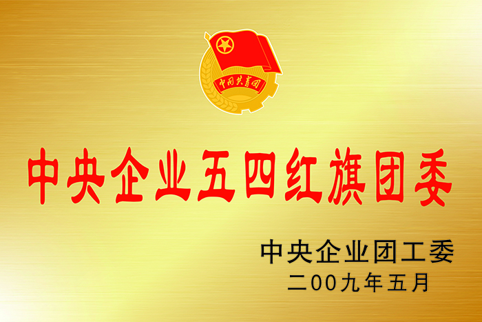 中央企业五四红旗团委