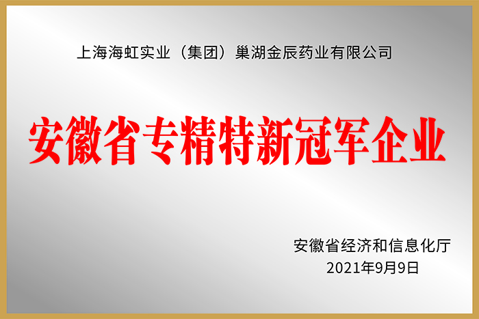 安徽省专精特新冠军企业